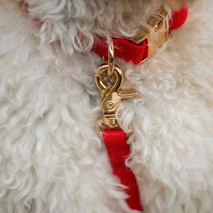 Collier imperméable pour chien - rouge cerise