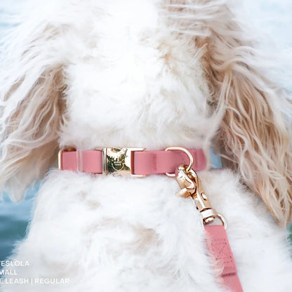 Waterproof Dog Collar - Perfect Pink