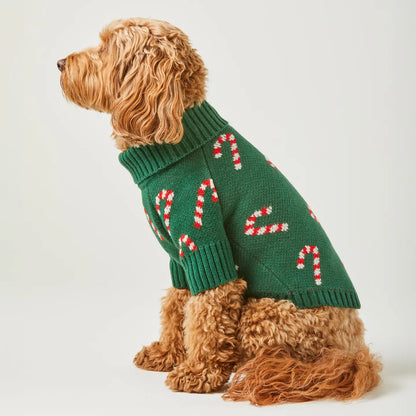 Evergreen Candy Canes Dog Sweater