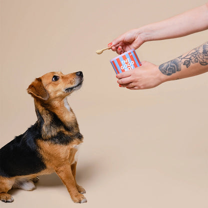 The Good Boy | 5-IN-1 Multivitamin