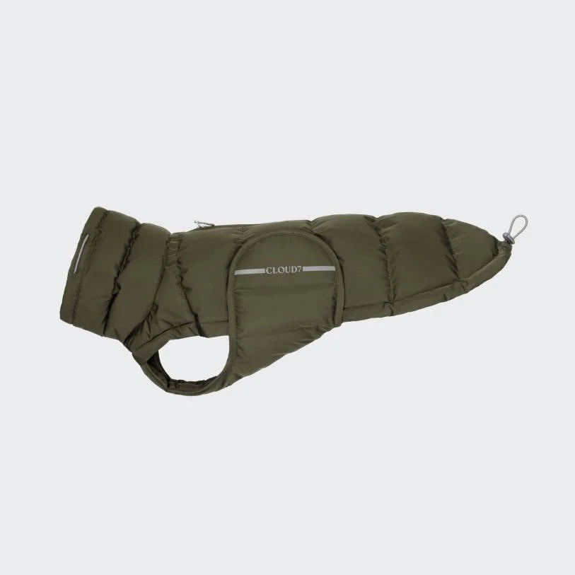 Manteau d'hiver Cloud7 Alaska DACHSHUND - Olive