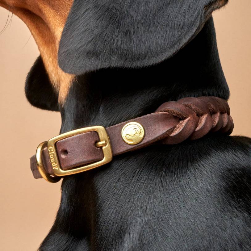 Collier pour chien Cloud7 Central Park - Saddle Brown