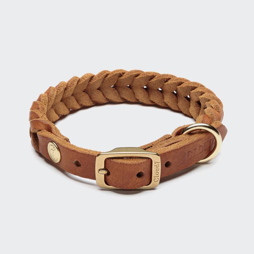 Collier pour chien Cloud7 Central Park - Camel