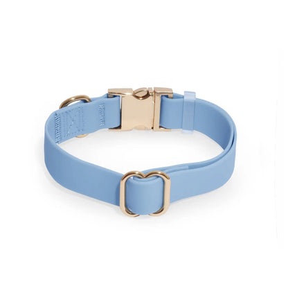 Collier imperméable pour chien - Malibu Blue