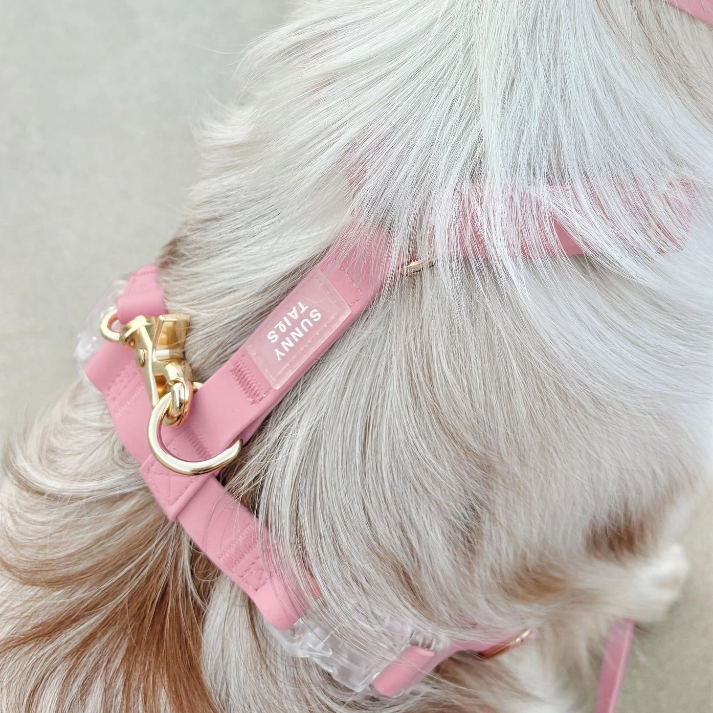 Waterproof Dog Harness - Perfect Pink