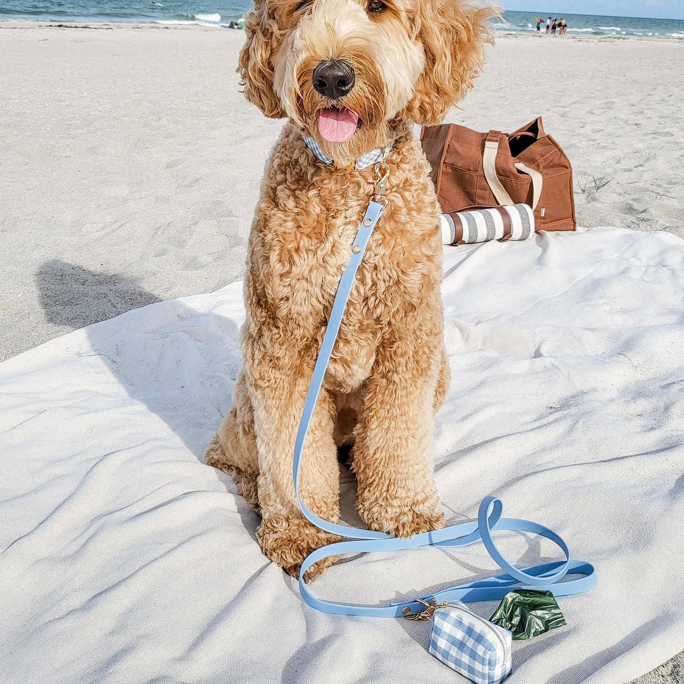 Laisse imperméable pour chien - Malibu Blue