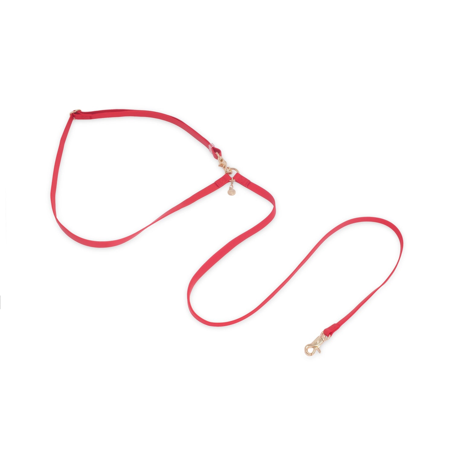 Laisse mains libres convertible 4 en 1 pour chien - rouge cerise