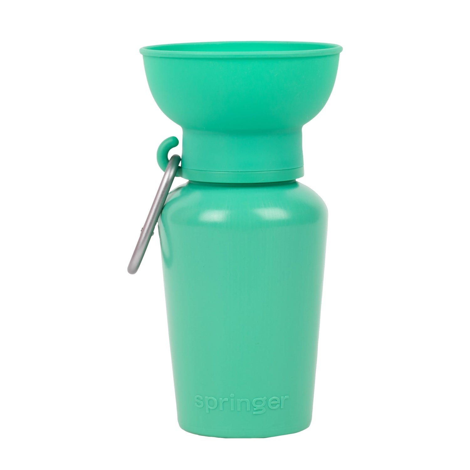 Bouteille de voyage Flip Dog - Springer Green