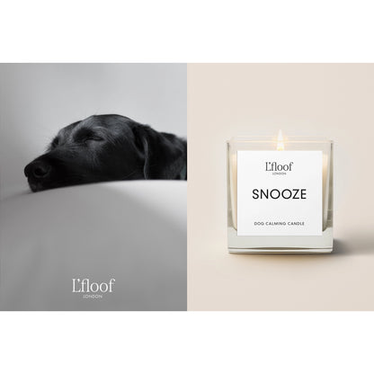 Bougie d'apaisement pour chien l Snooze