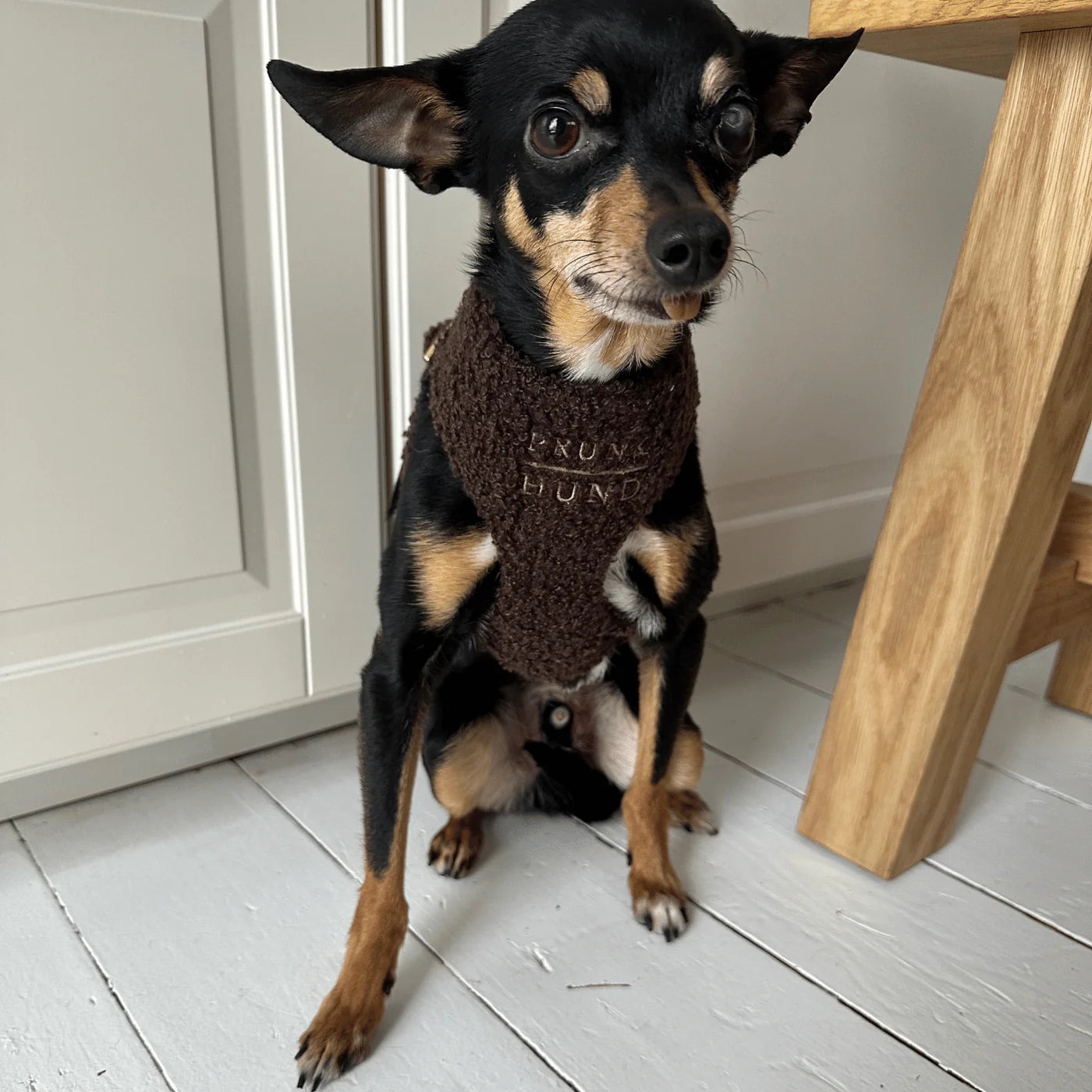 Soft Harness Teddy - Mocca