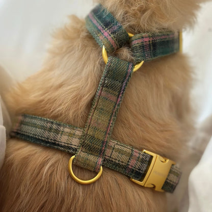 Harness Tartan