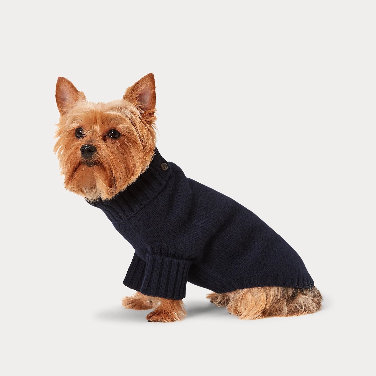 POLO RALPH LAUREN Wool Cashmere Bear Jumper | Hunter Navy