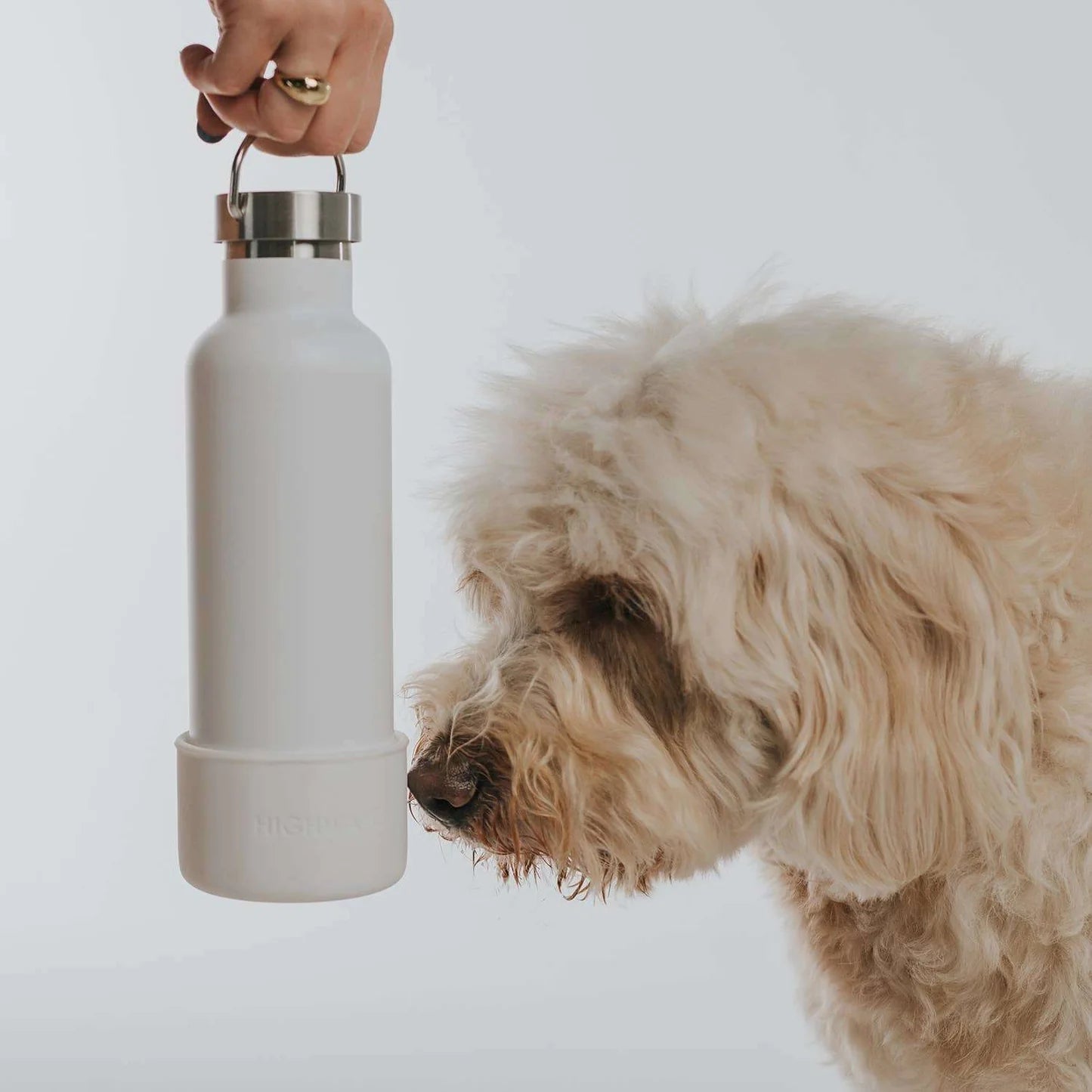 Bouteille de voyage isotherme Dog & Me - Blanc