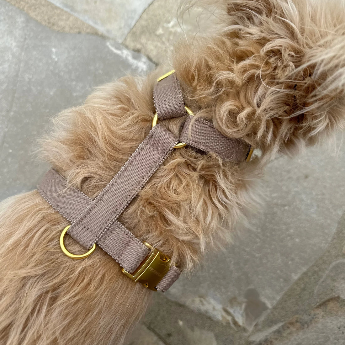 Harness Minimal - Tan
