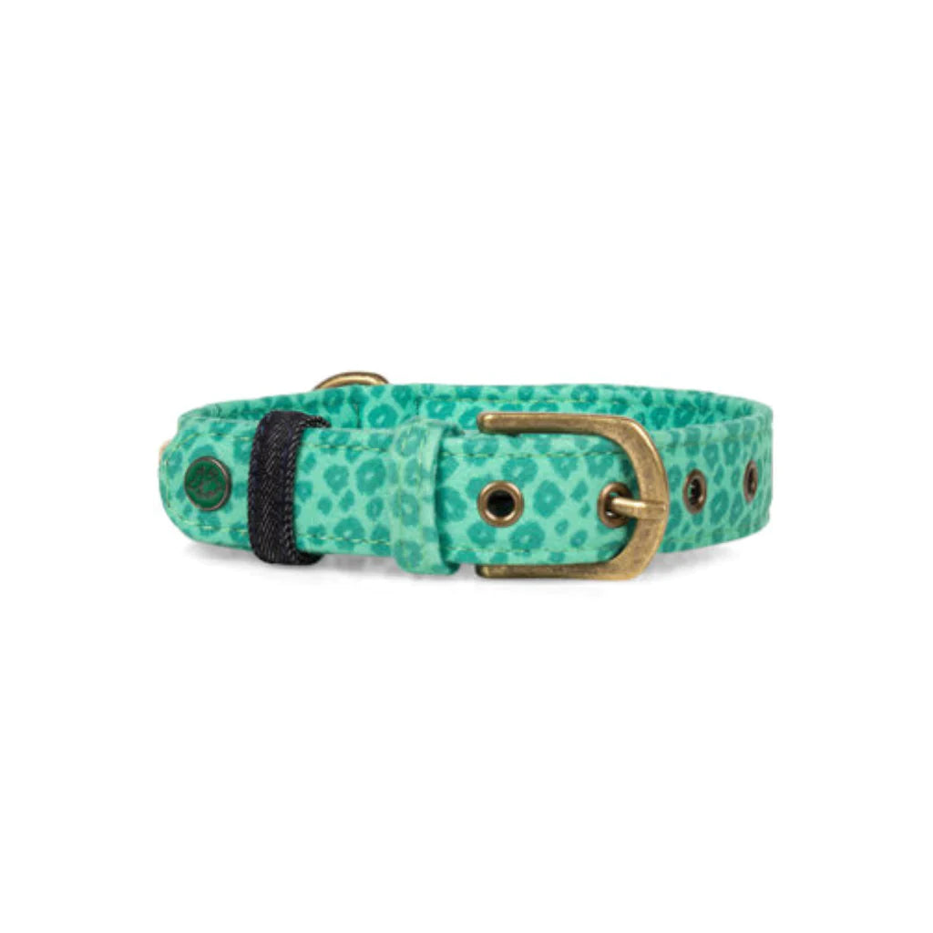 Waikiki Collar