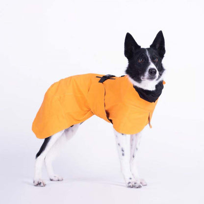 Imperméable de récupération - Orange