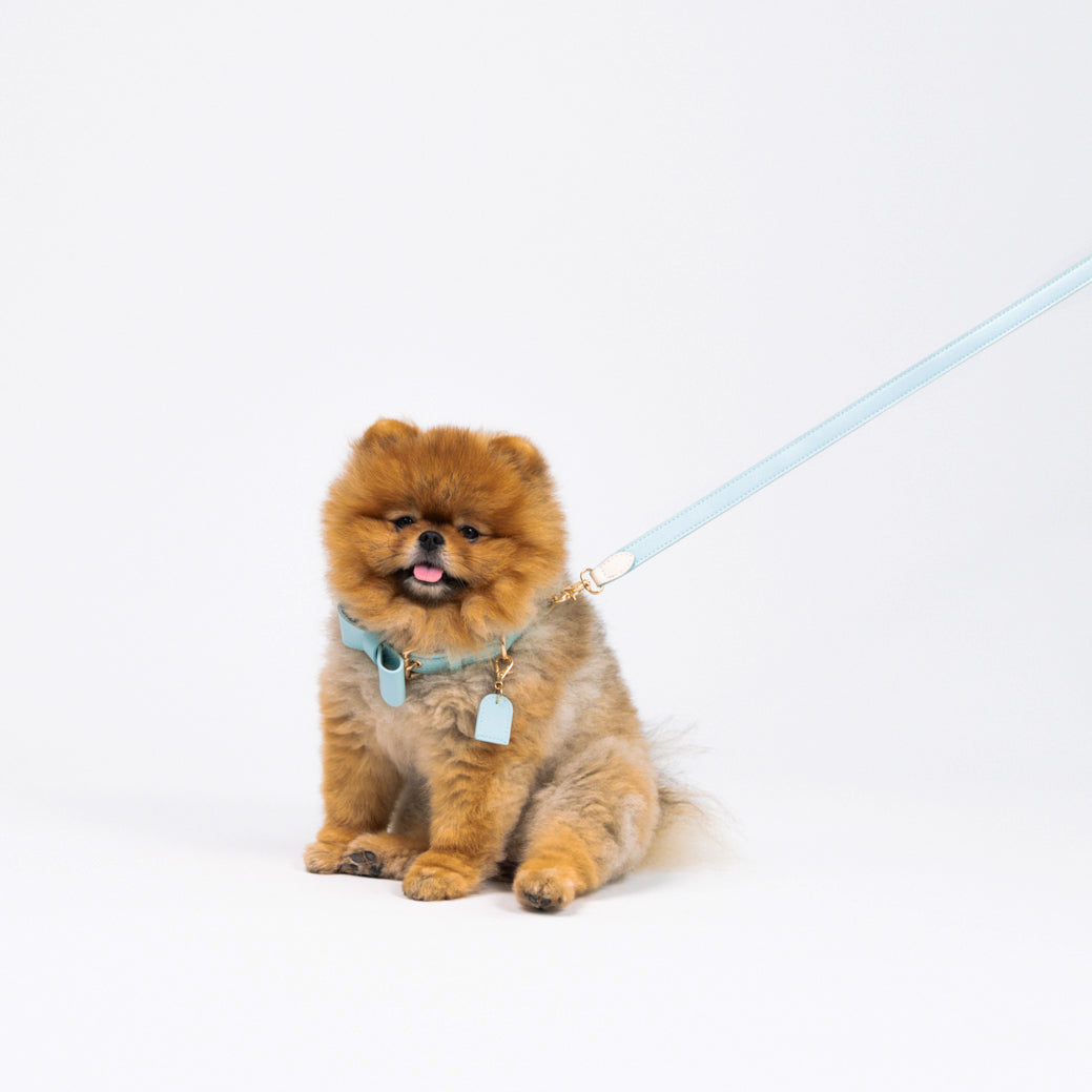 Sky Blue - Vegan Leather Leash