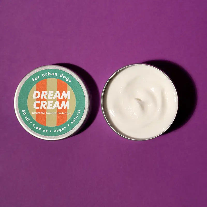 Dream Cream | Crème nourrissante