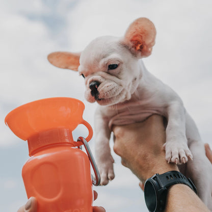 Bouteille d'eau de voyage - Poppy