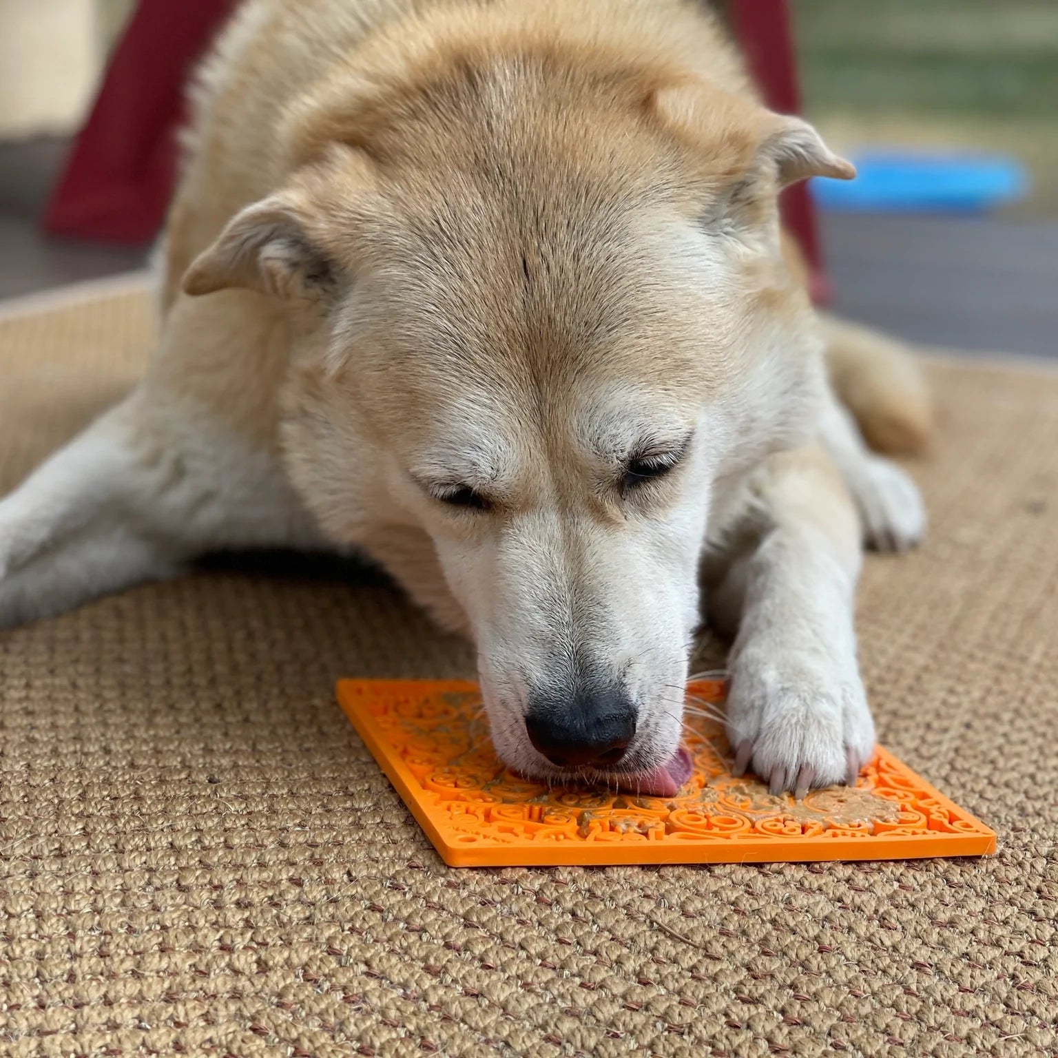 Grand tapis de léchage d'enrichissement - Zombie Orange