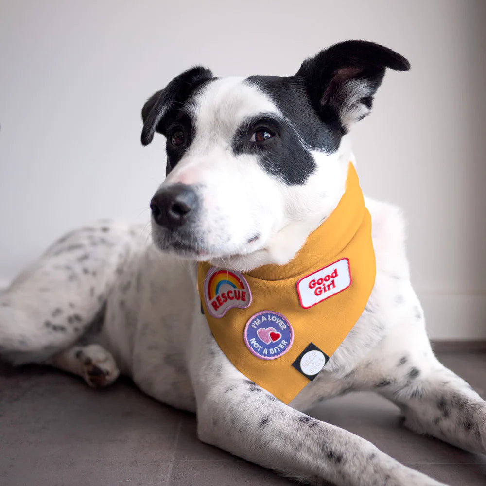 Badge de la bonne fille