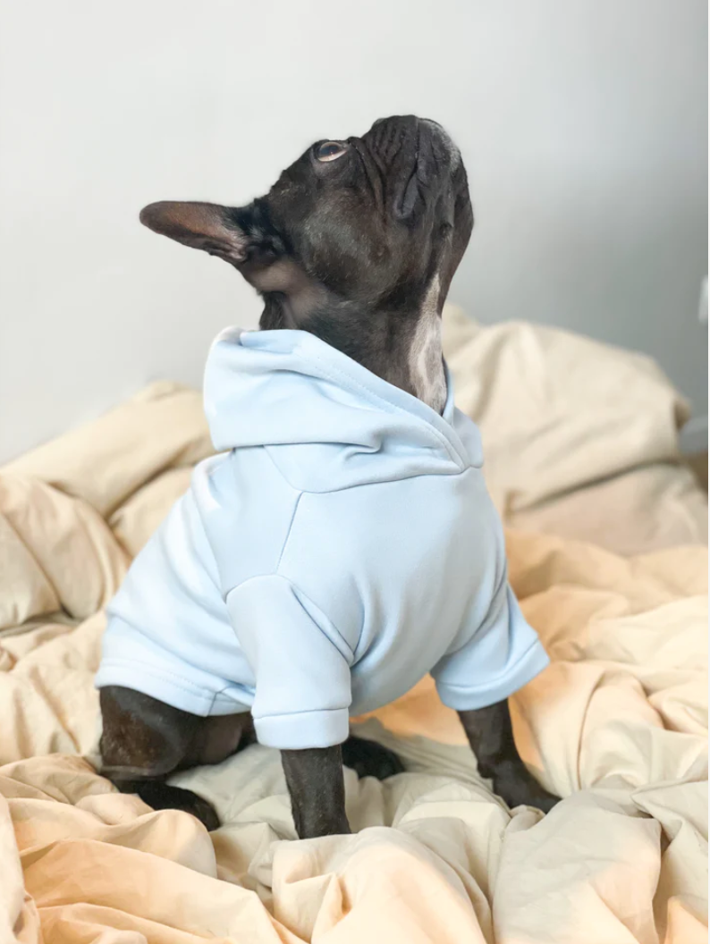 Pull pour chien - Bleu pastel