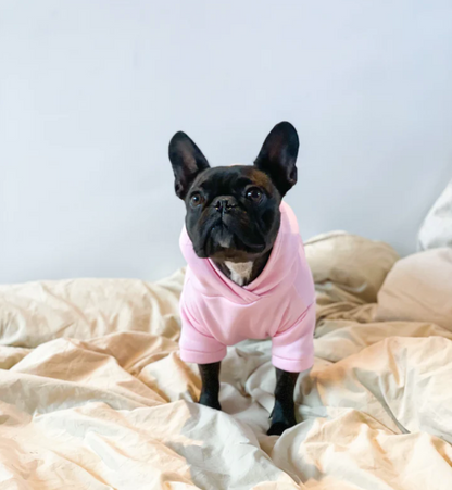 Pull pour chien - Pastel Pink