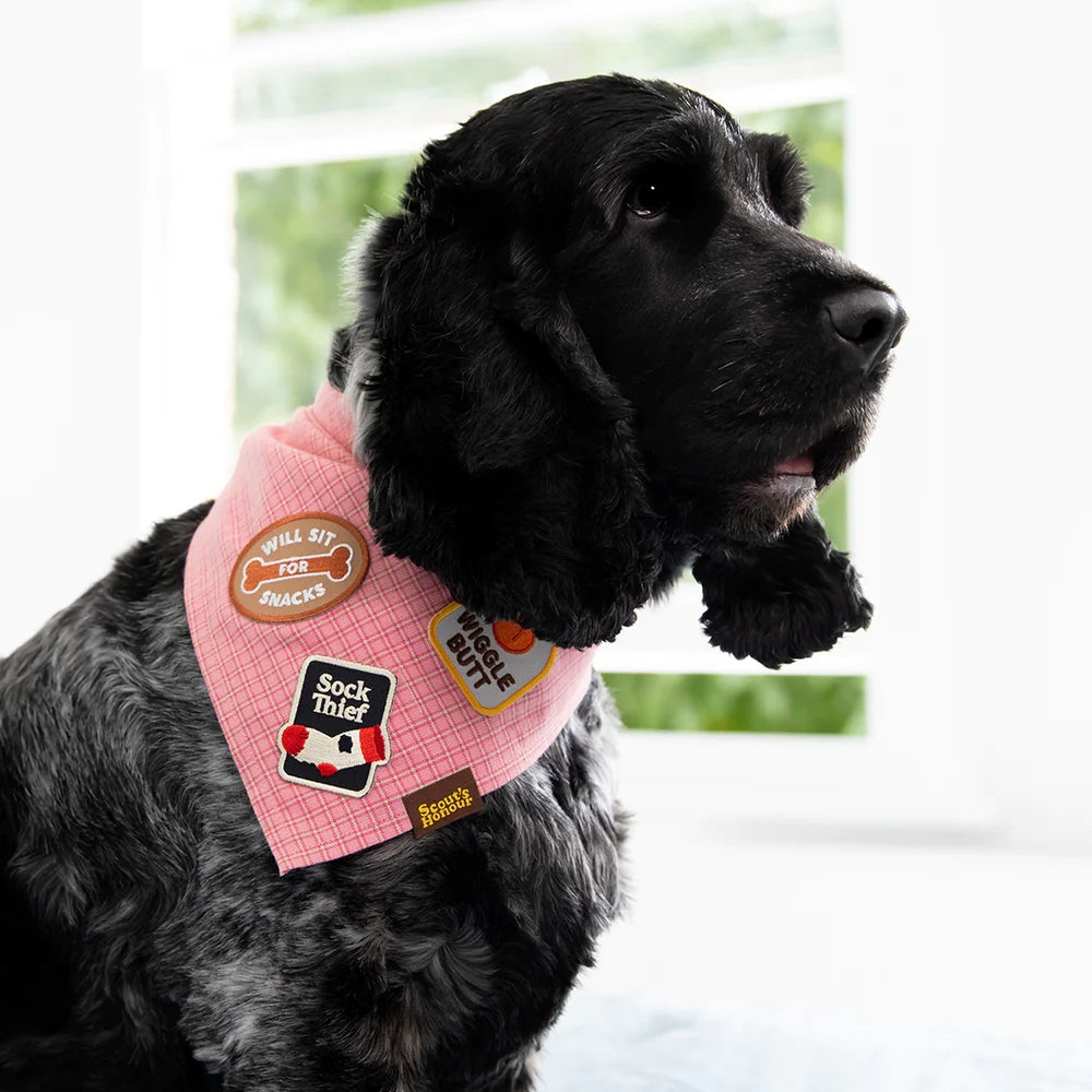 Badge de voleur de chaussettes