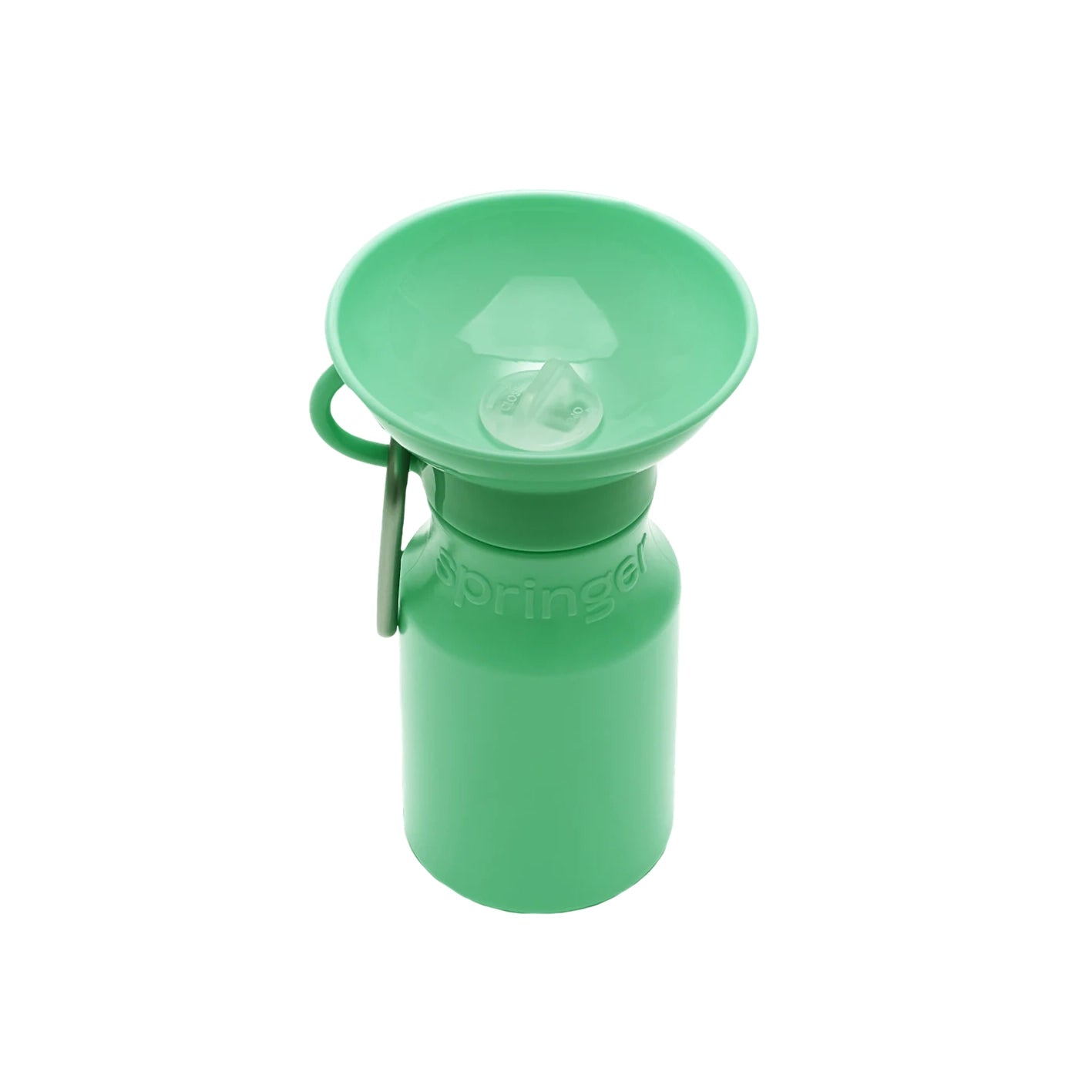 Bouteille d'eau de voyage - Springer Green