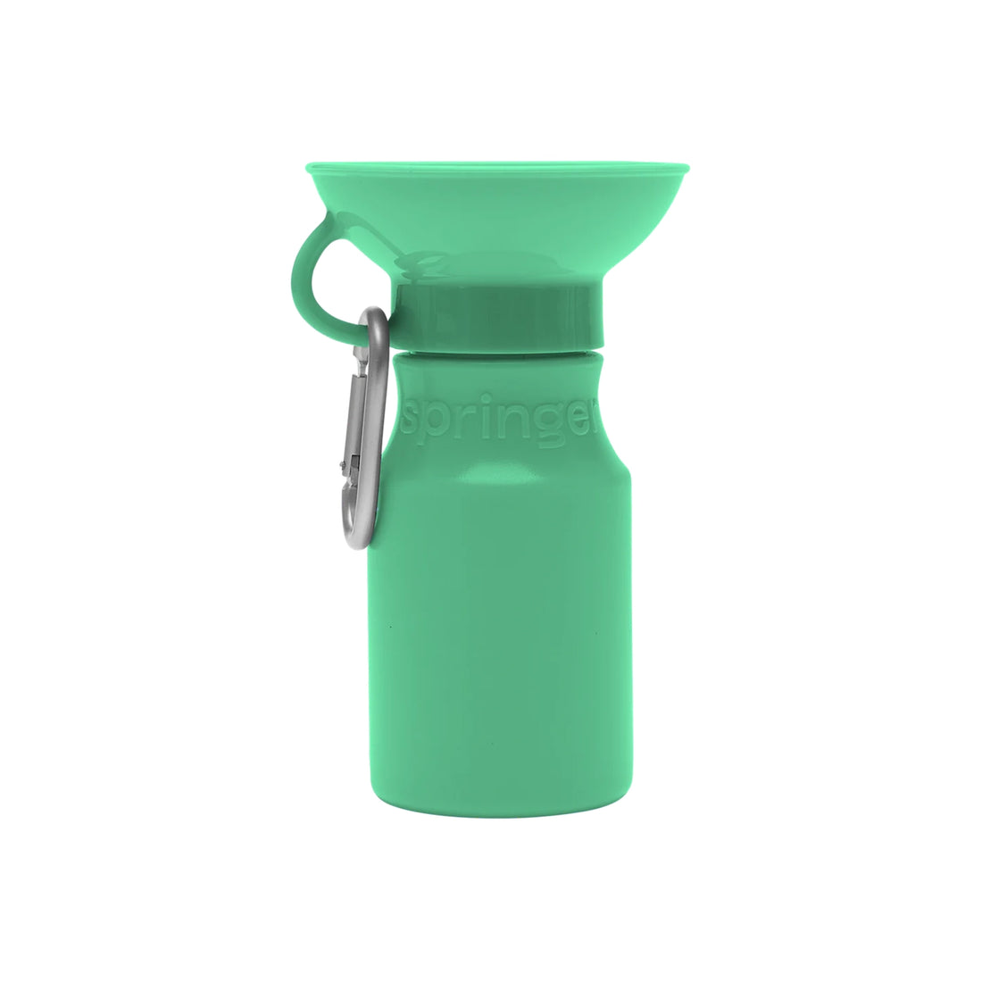 Bouteille d'eau de voyage - Springer Green