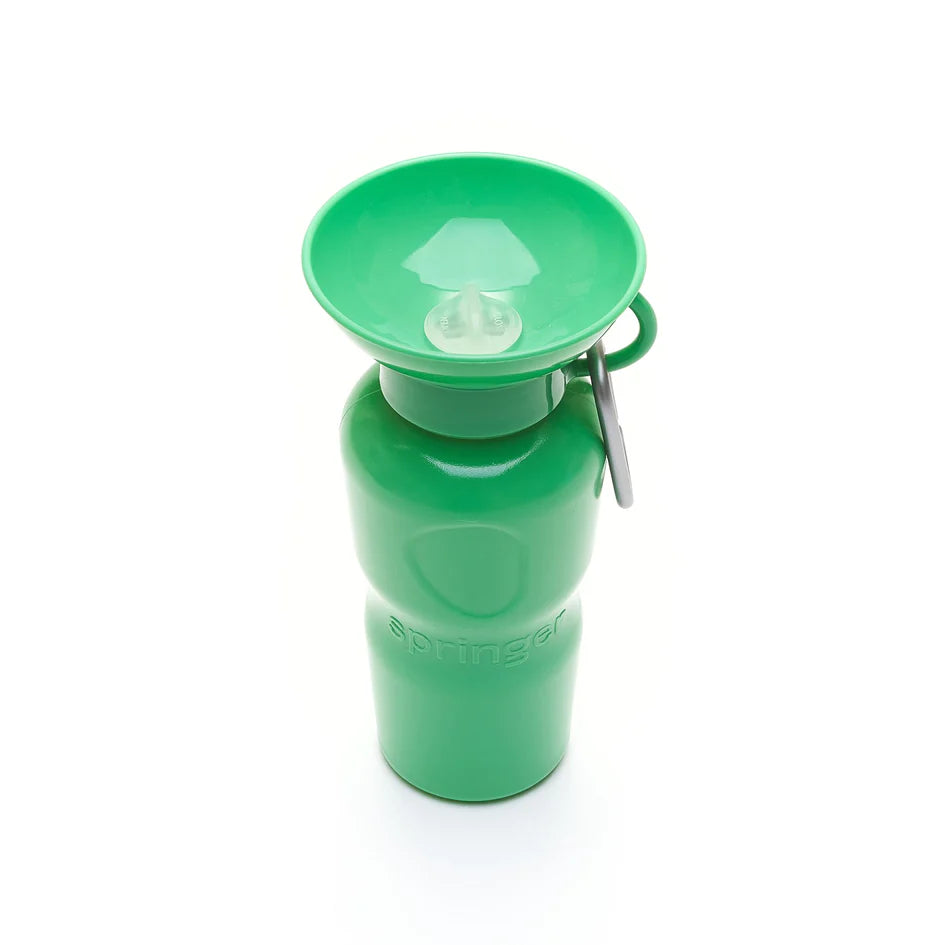 Bouteille d'eau de voyage - Springer Green