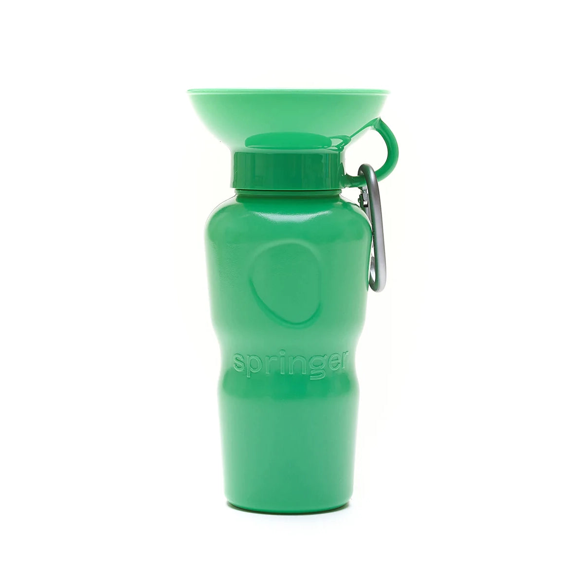 Bouteille d'eau de voyage - Springer Green