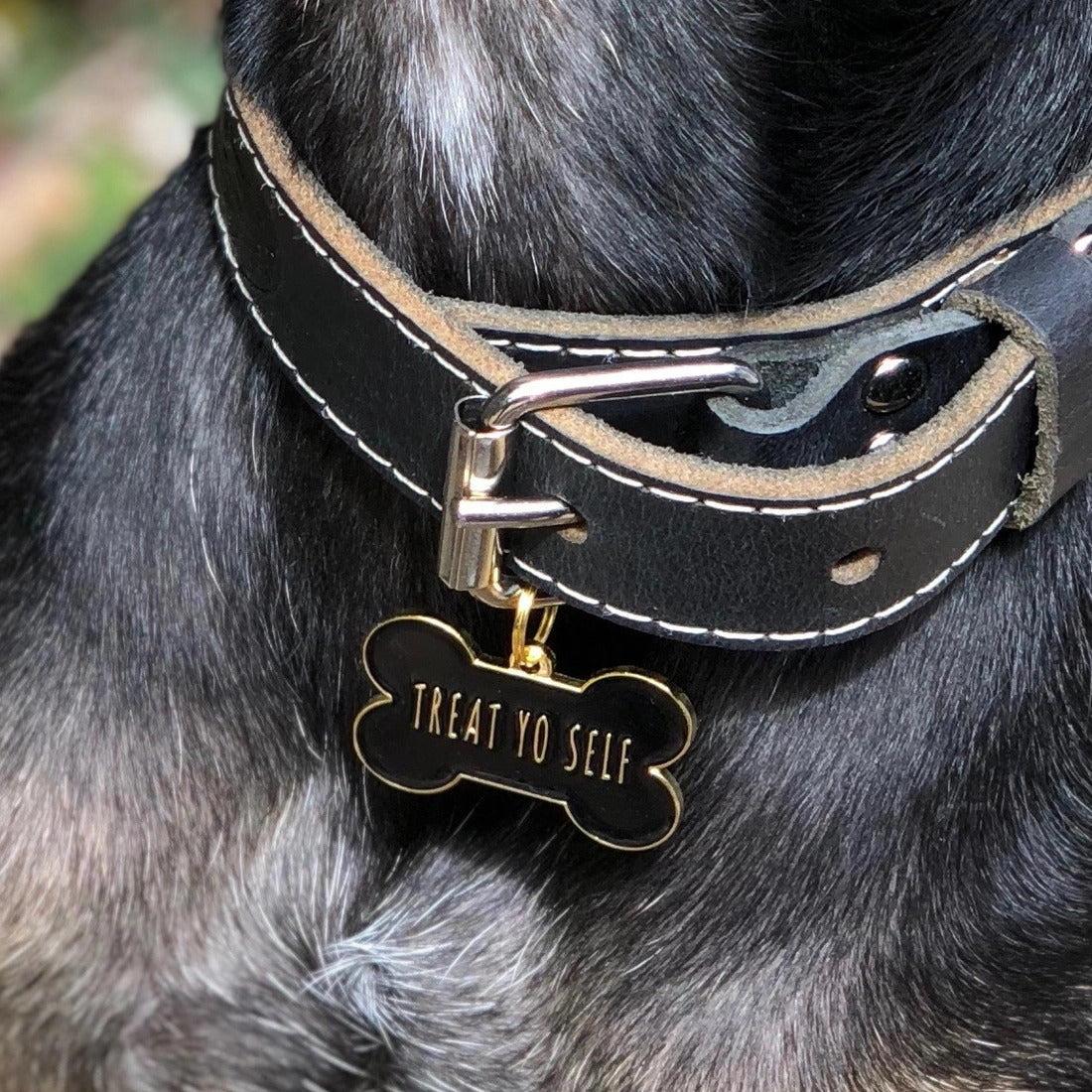 Médaille pour chien "Treat Yo Self" - Noir