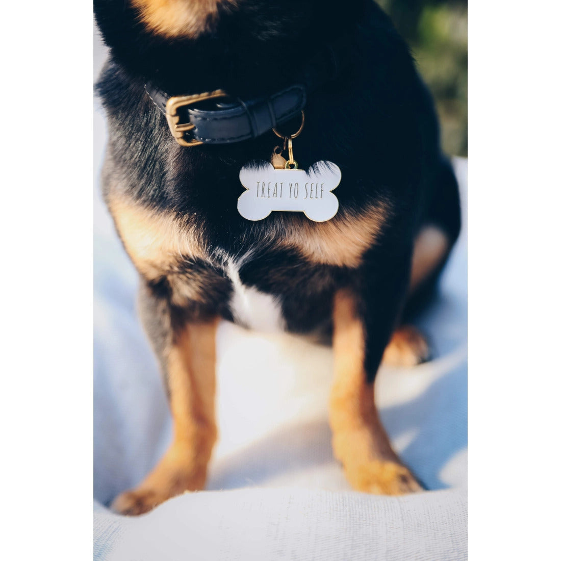 Médaille pour chien "Treat Yo Self" - Blanc