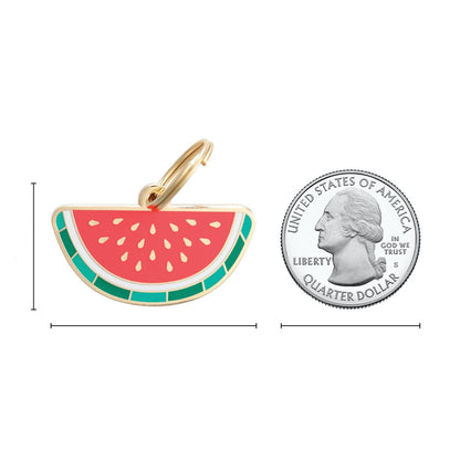 Médaille melon d'eau