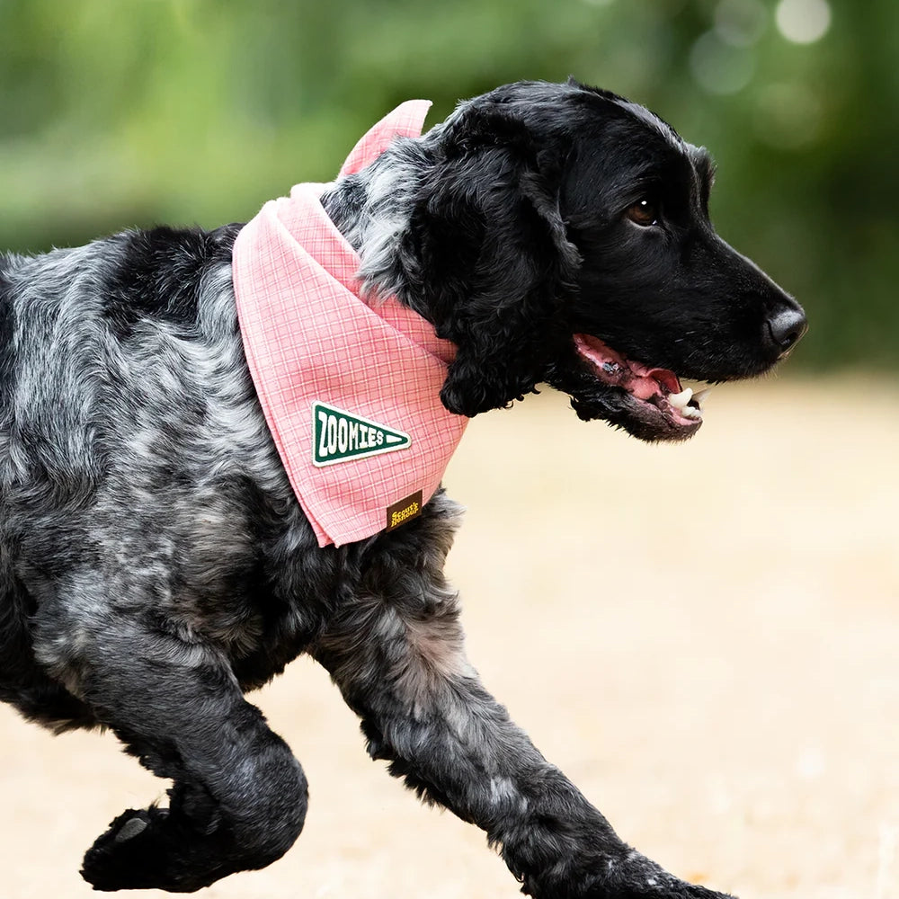 Badge Zoomies