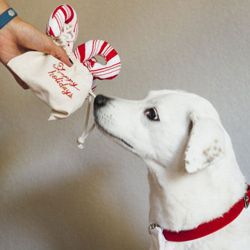Cheerful Candy Canes