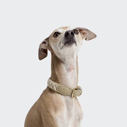 Cloud7 Dog Collar Blomen - Nature