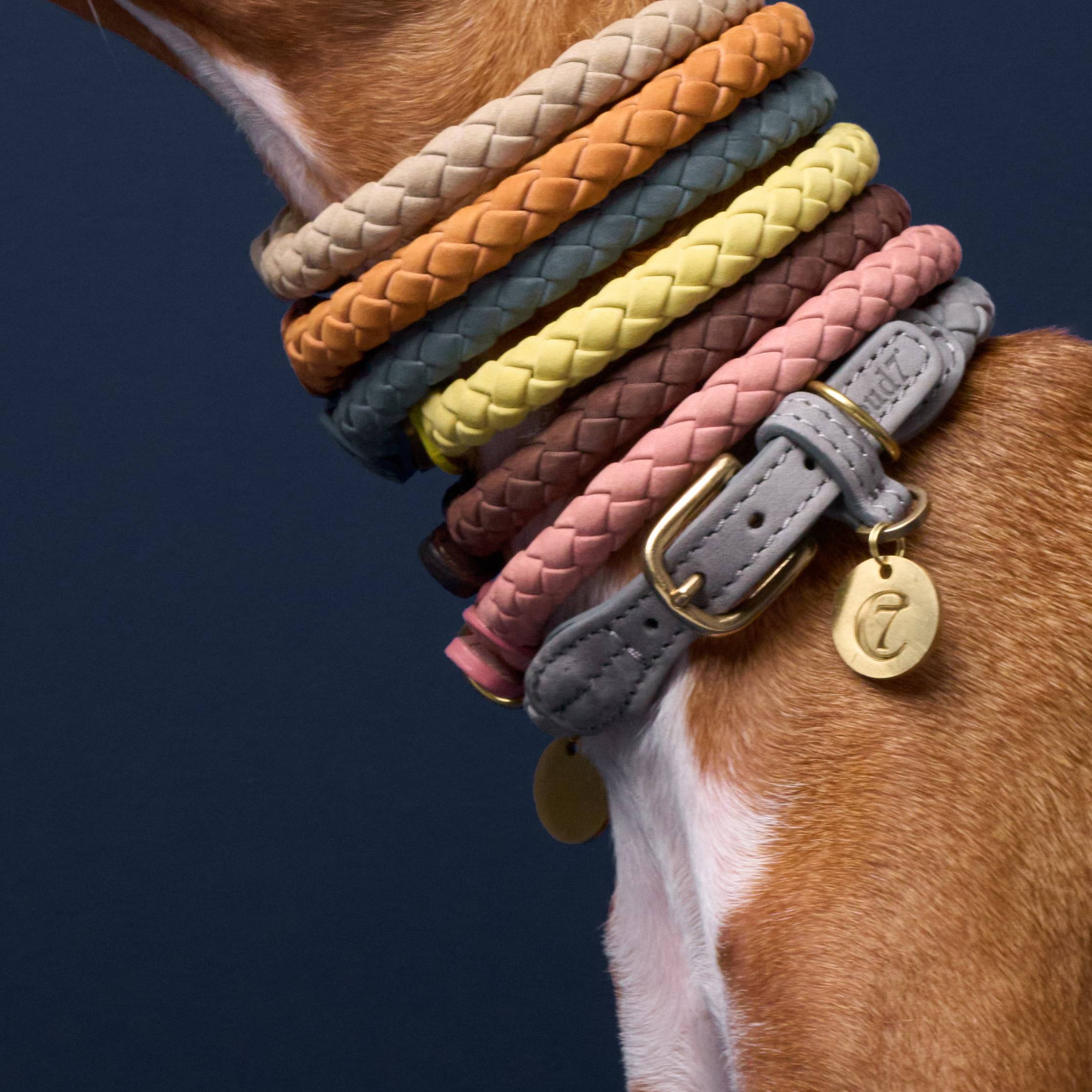 Cloud7 Dog Collar Ravello - Lemon