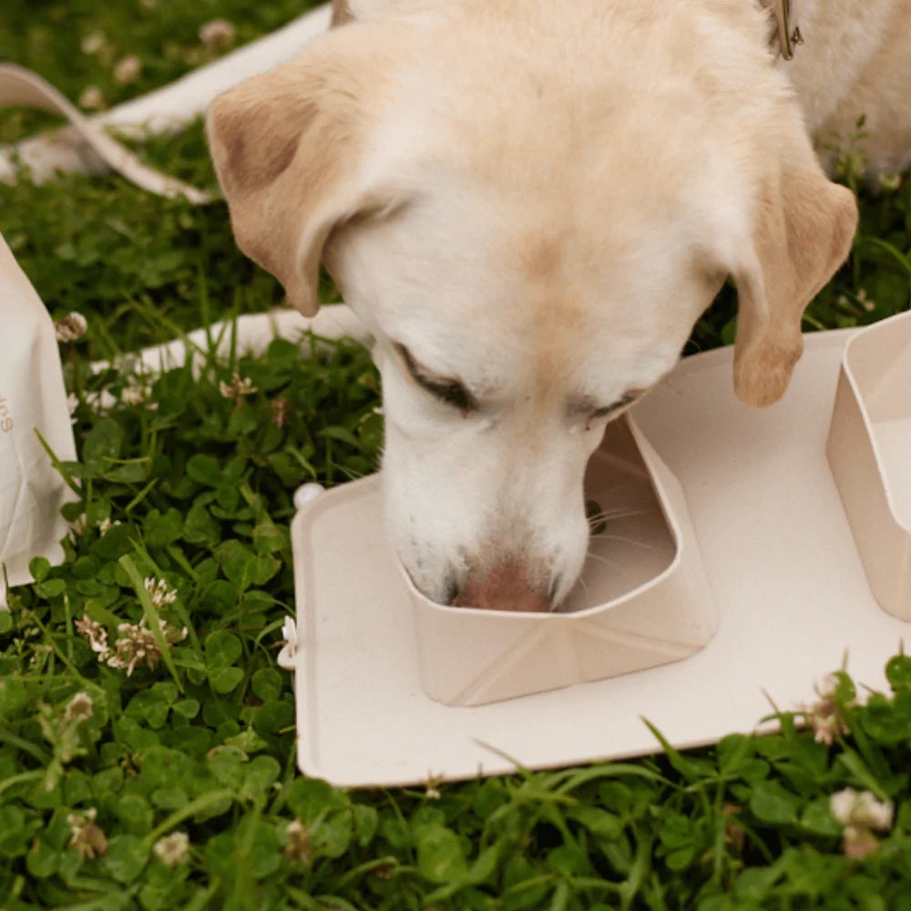 GO! Portable Bowl - Sand