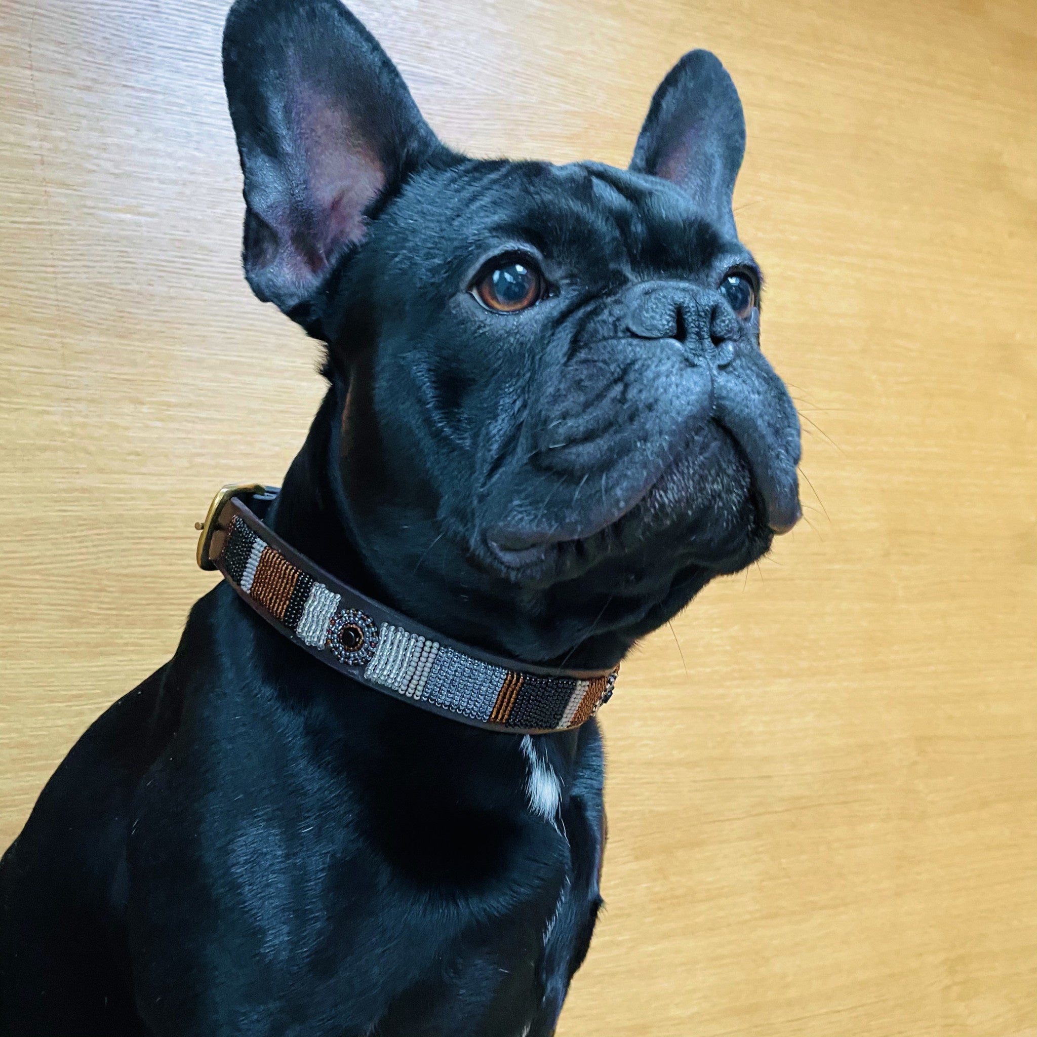 Collier pour chien en perles - Volcan