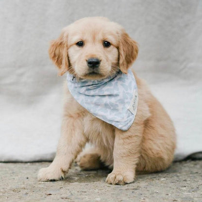 Bandana Mae