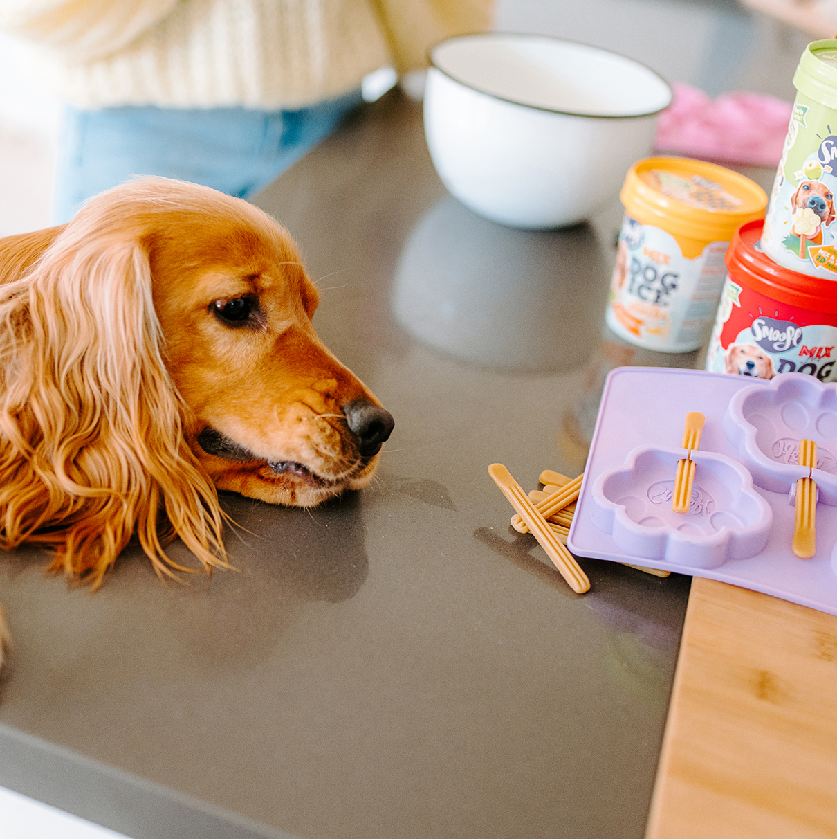 Mélange de crème glacée pour chiens - Pomme - Pet-à-Porter