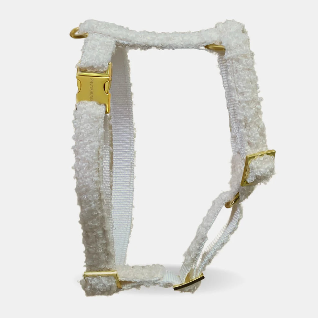 Harnais Teddy - Crème