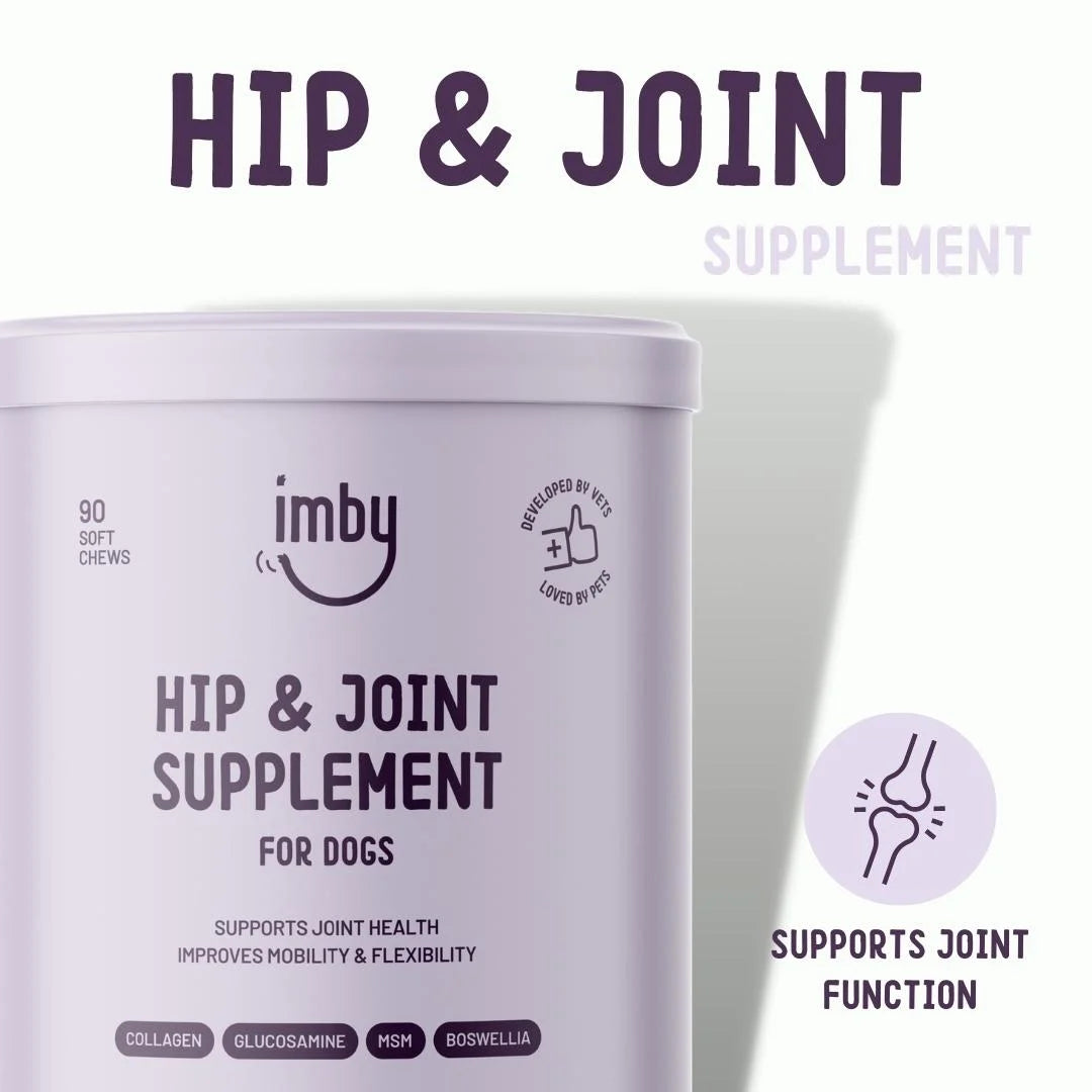Hip & Joint | Supplement Chews for Dogs