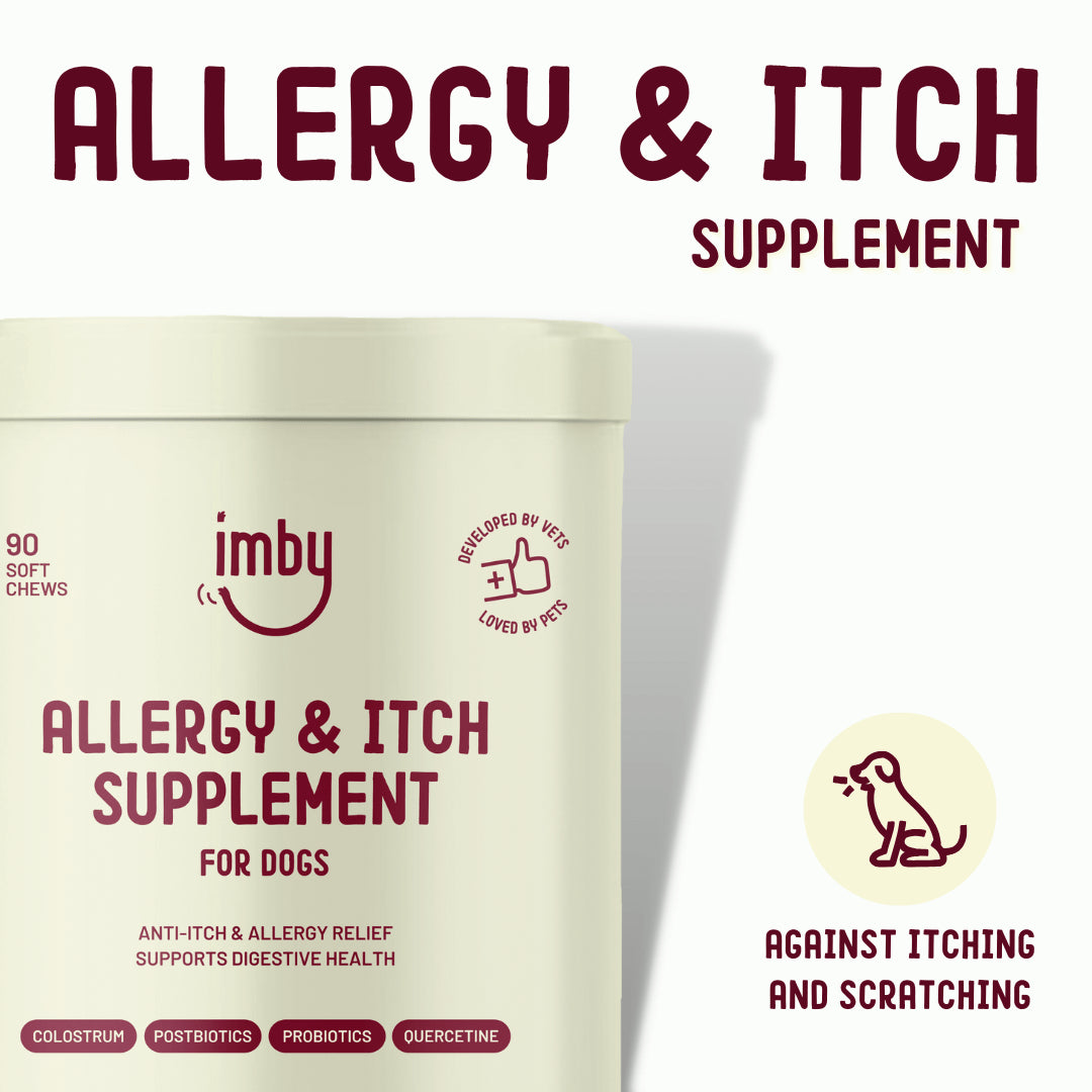Allergy & Itch | Supplement Chews for Dogs