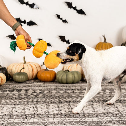 Stack-O-lantern