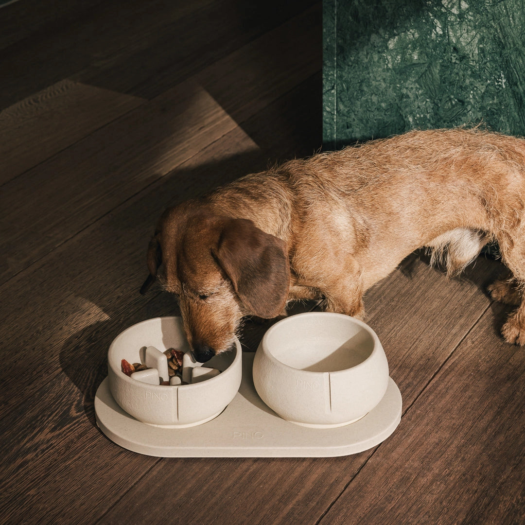 Slow Feeder Bowl - Owl Greige