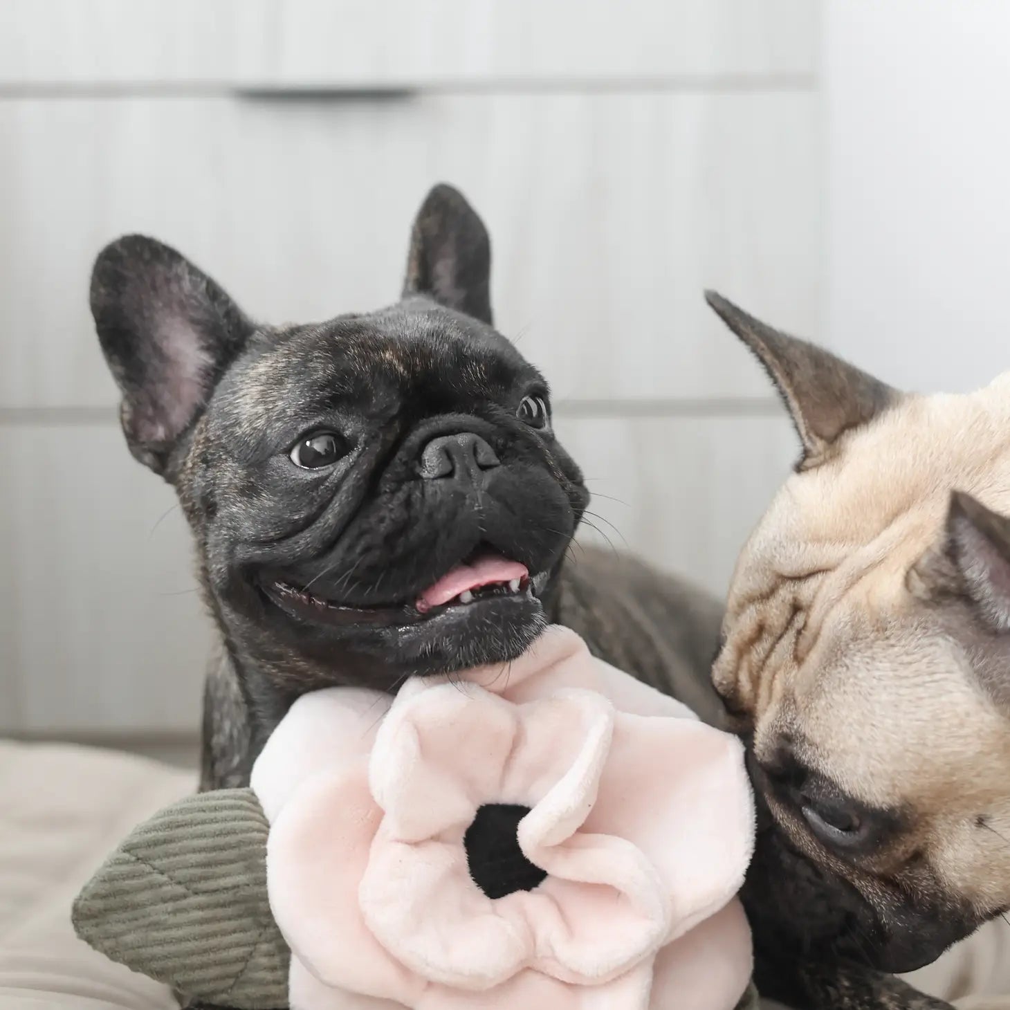 Poppy Groot Knuffelspeeltje