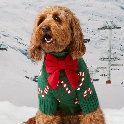 Evergreen Candy Canes Dog Sweater